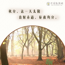 立秋是秋分嗎？立秋和秋分的區(qū)別？