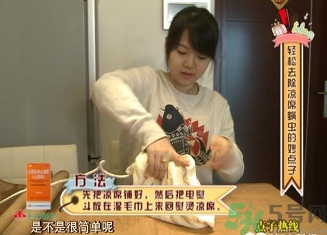 怎么判斷涼席有沒有螨蟲？涼席上的螨蟲怎么去除？