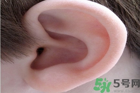 耳朵癢是怎么回事？耳朵癢怎么辦？