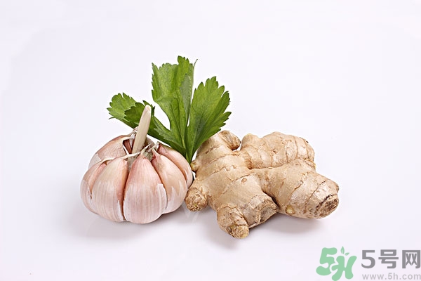 生姜能防止脫發嗎?生姜防脫發生發的方法