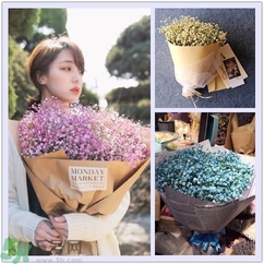 七夕送女朋友什么花？七夕送女朋友花送幾朵？