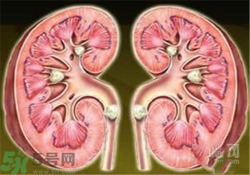 慢性腎炎能治好嗎？慢性腎炎能活多久？