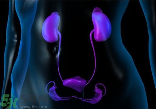 慢性腎炎能治好嗎？慢性腎炎能活多久？