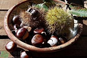 吃生板栗有什么好處?生板栗的營養價值