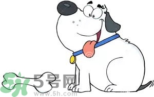 七夕單身狗怎么過？單身怎么過七夕？