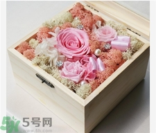 永生花怎么保養?永生花的保存方法