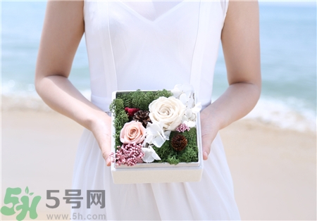 永生花怎么保養?永生花的保存方法