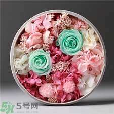 永生花怎么保養?永生花的保存方法