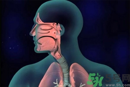過敏性鼻炎的高發(fā)人群有哪些？如何預防過敏性鼻炎？