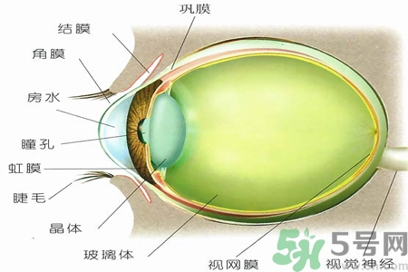 青光眼的治療方法有哪些？青光眼可以哪些藥物治療？