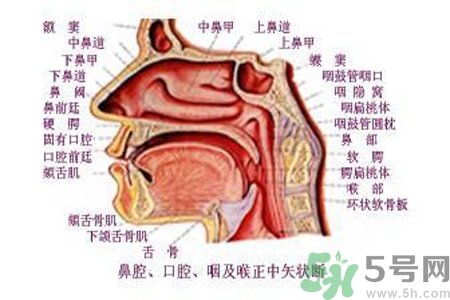 鼻咽癌的日常措施是什么？鼻咽癌注意的飲食有哪些？