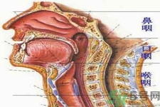 鼻咽癌的治療方法是什么？鼻咽癌可以用什么藥物治療？