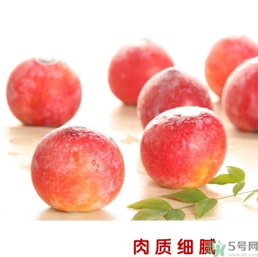 恐龍蛋的功效作用 恐龍蛋的營養價值