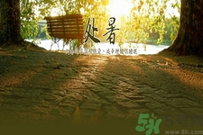 處暑喝什么茶？處暑養生茶推薦