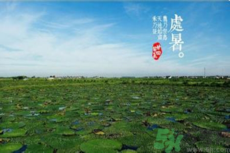 處暑出生的人怎么取名？處暑出生的人的命運(yùn)？