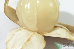 龍宮果的營養價值 龍宮果的功效與作用