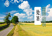 處暑出生的人怎么取名？處暑出生的人的命運？