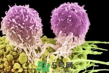 不宜過多食用辣椒的人群有哪些？夏天吃辣椒的好處有哪些？