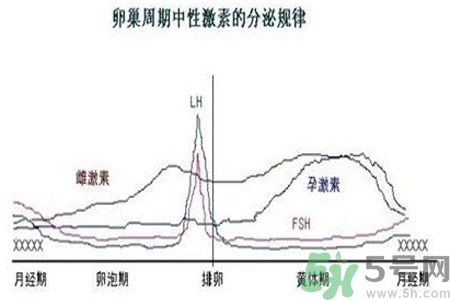 如何分清常見的激素藥？如何正確使用激素類藥物？
