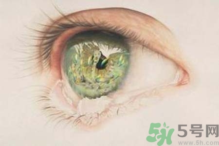 睡覺時(shí)流眼淚是怎么回事？如何保護(hù)眼睛？