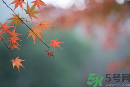 秋老虎如何謹防皮膚病？秋老虎如何預防皮膚病？