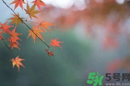 秋天換季病有哪些？秋天該如何保健養(yǎng)生呢？