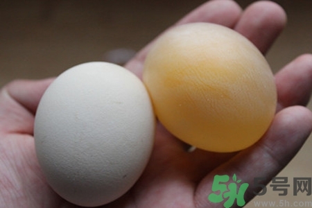 醋泡雞蛋可以治病嗎？醋泡雞蛋的做法是什么？