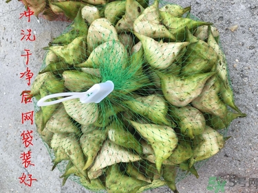 菱角和豬肉能一起吃嗎？菱角和什么不能一起吃？