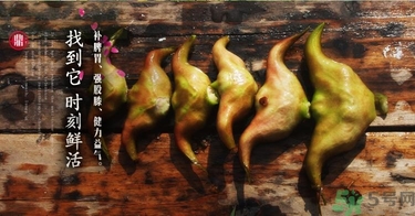菱角和豬肉能一起吃嗎？菱角和什么不能一起吃？
