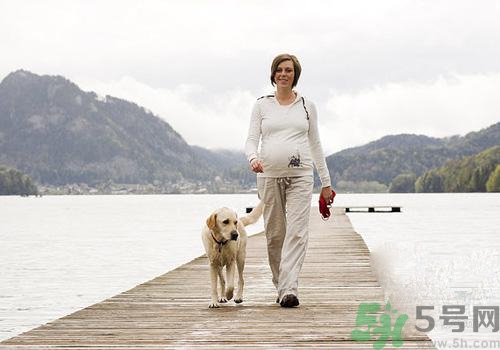 孕婦可以和狗狗在一起嗎？孕婦和狗狗接觸好不好？