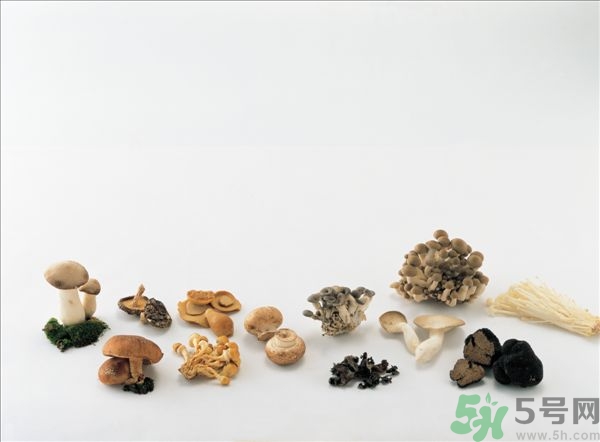 吃金針菇會發胖嗎?金針菇的熱量是多少