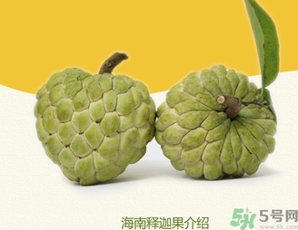 釋迦果怎么吃？釋迦的營養價值功效作用