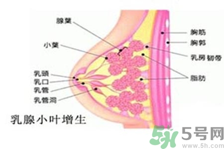 女性乳腺增生的原因是什么？乳腺增生的癥狀有哪些？