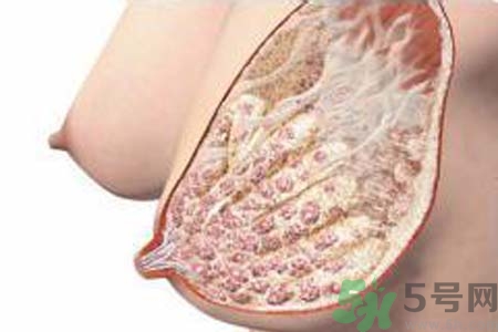 乳腺增生可以懷孕嗎？如何預(yù)防乳腺增生？