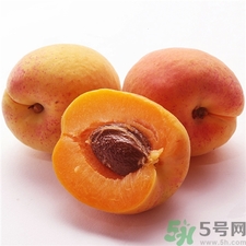 杏子和梅子的區別是什么?杏子和梅子哪個更好吃? 杏子和梅子的區別是什么?杏子和梅子哪個更好吃?