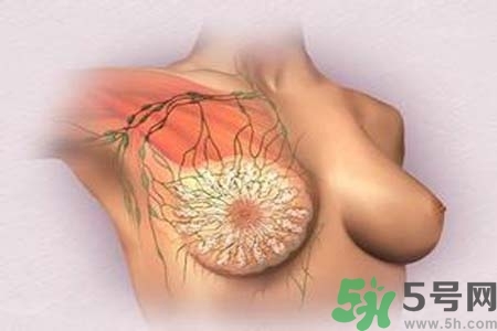 乳頭發黑怎么辦？怎么樣可以使乳頭變白？