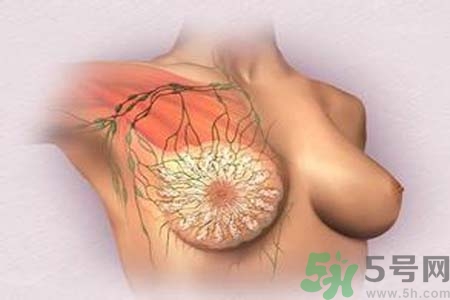 乳頭發(fā)黑是怎么回事？乳頭發(fā)黑是什么原因？