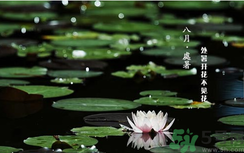 處暑如何養生？處暑養生要注意什么？