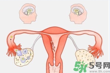 陰道出血癥狀有哪些？陰道出血需注意什么問題？