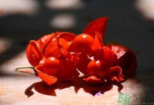 紅姑娘怎么吃？紅姑娘怎么保存？