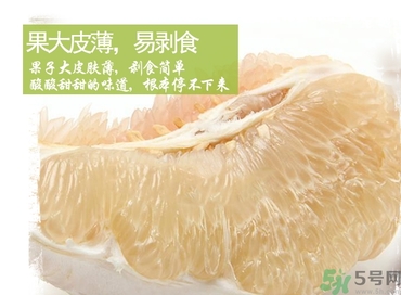 文旦柚的功效作用 文旦柚的營養價值食用禁忌