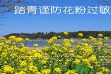 花粉過(guò)敏的表現(xiàn)是什么？如何有效的預(yù)防花粉過(guò)敏？