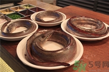 鰻魚(yú)的營(yíng)養(yǎng)價(jià)值 鰻魚(yú)的功效與作用