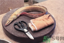 鰻魚(yú)的營(yíng)養(yǎng)價(jià)值 鰻魚(yú)的功效與作用