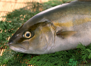 魚眼睛可以吃嗎？吃魚眼睛有什么好處？