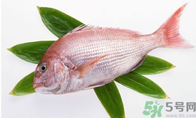 吃魚眼睛對眼睛有好處嗎？吃什么魚對眼睛好？
