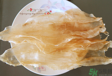 魚(yú)膠是什么？魚(yú)膠的功效與作用？