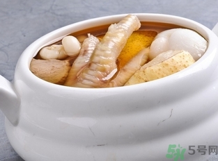 海底椰的功效作用 海底椰的營養價值和食用禁忌