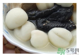 海底椰的功效作用 海底椰的營養價值和食用禁忌