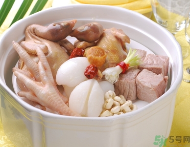 海底椰的功效作用 海底椰的營養價值和食用禁忌